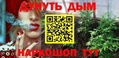 молекула духа Новозыбков