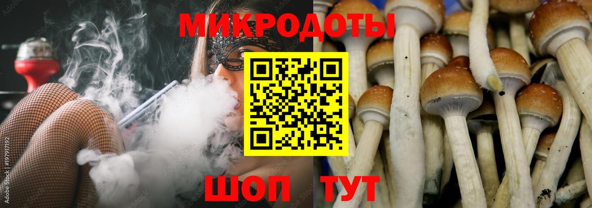 Псилоцибиновые грибы Magic Shrooms  Вход с VPN  Галлюциногенные грибы Psilocybe  хочу   Шебекино 